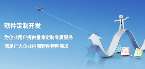 寧河企業(yè)管理系統(tǒng)開發(fā) 軟件外包服務(wù)的優(yōu)勢與實(shí)施策略