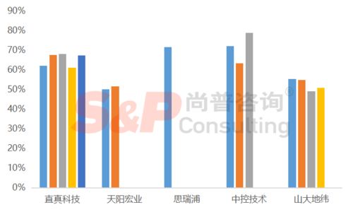 軟件和信息技術(shù)服務(wù)業(yè)企業(yè)IPO募投項目設(shè)計與審核要點