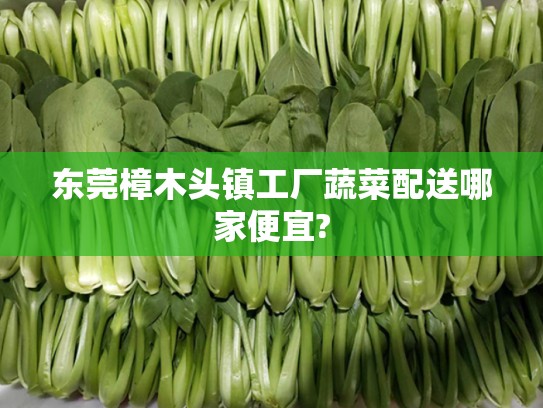 樟木頭鎮工廠蔬菜配送，哪家更便宜又新鮮？